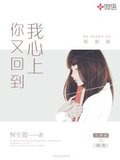你又回到我心上