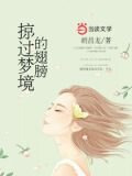 掠过梦境的翅膀