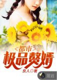 都市极品赘婿