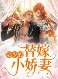 陆少的替嫁小娇妻陆岑